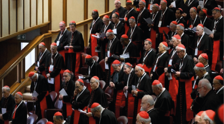 6ª Congregación General de Cardenales: renuncias, presencias, temas tratados