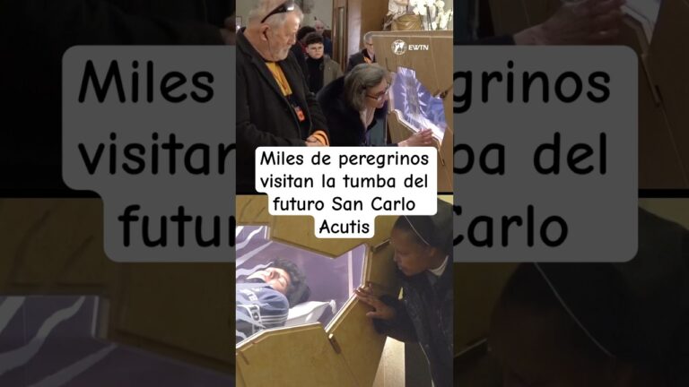 Miles de peregrinos visitan la tumba del futuro San Carlo Acutis