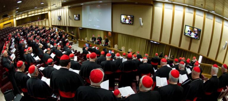 El sucesor de Francisco según declaraciones de los cardenales II