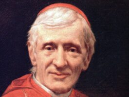 San Hohn Henry Newman